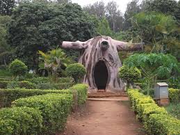 Tourist places to visit in Araku valley - Padmapuram Botanical Garden