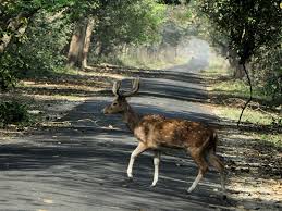gautam buddha wildlife sanctuary 