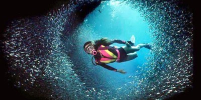 Scuba Diving in India